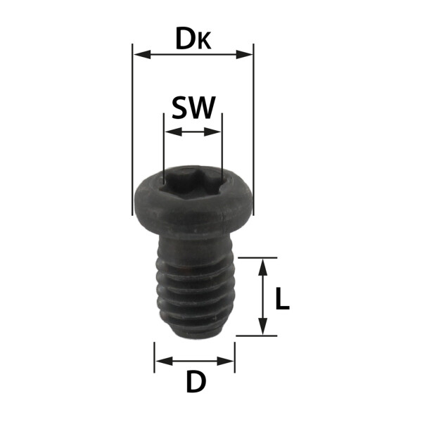 50/ 20/ 10 /5 Stücke M 1,6 M2 M 2,5 M3 M4 M5 M6 M8 304 Edelstahl Sechs Lappen Torx Flachen