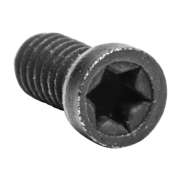 ENT Bohrsystem TORX® Schraube, M2,5 / M5, für Bohrkopf ENT Bohrsystem TORX® Schraube, M2,5 / M5, für Bohrkopf